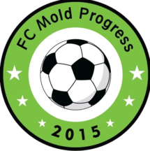 FC MoldProgress