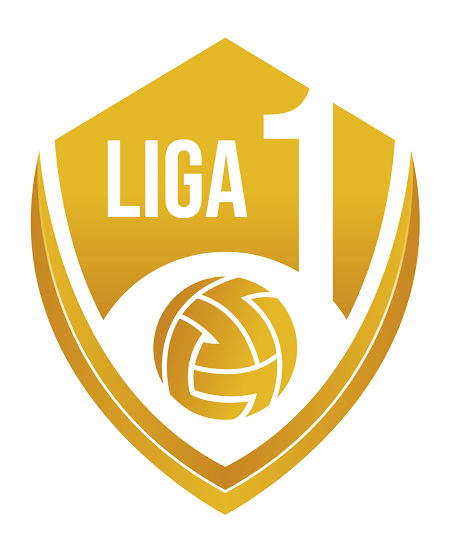 Liga 1 (Grupa 2)