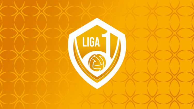 Liga 1. Loturile complete ale echipelor