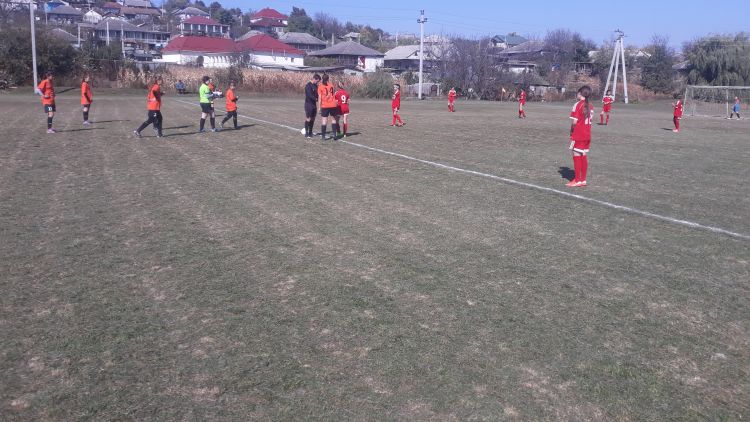 Stadionul sătesc Cimișeni